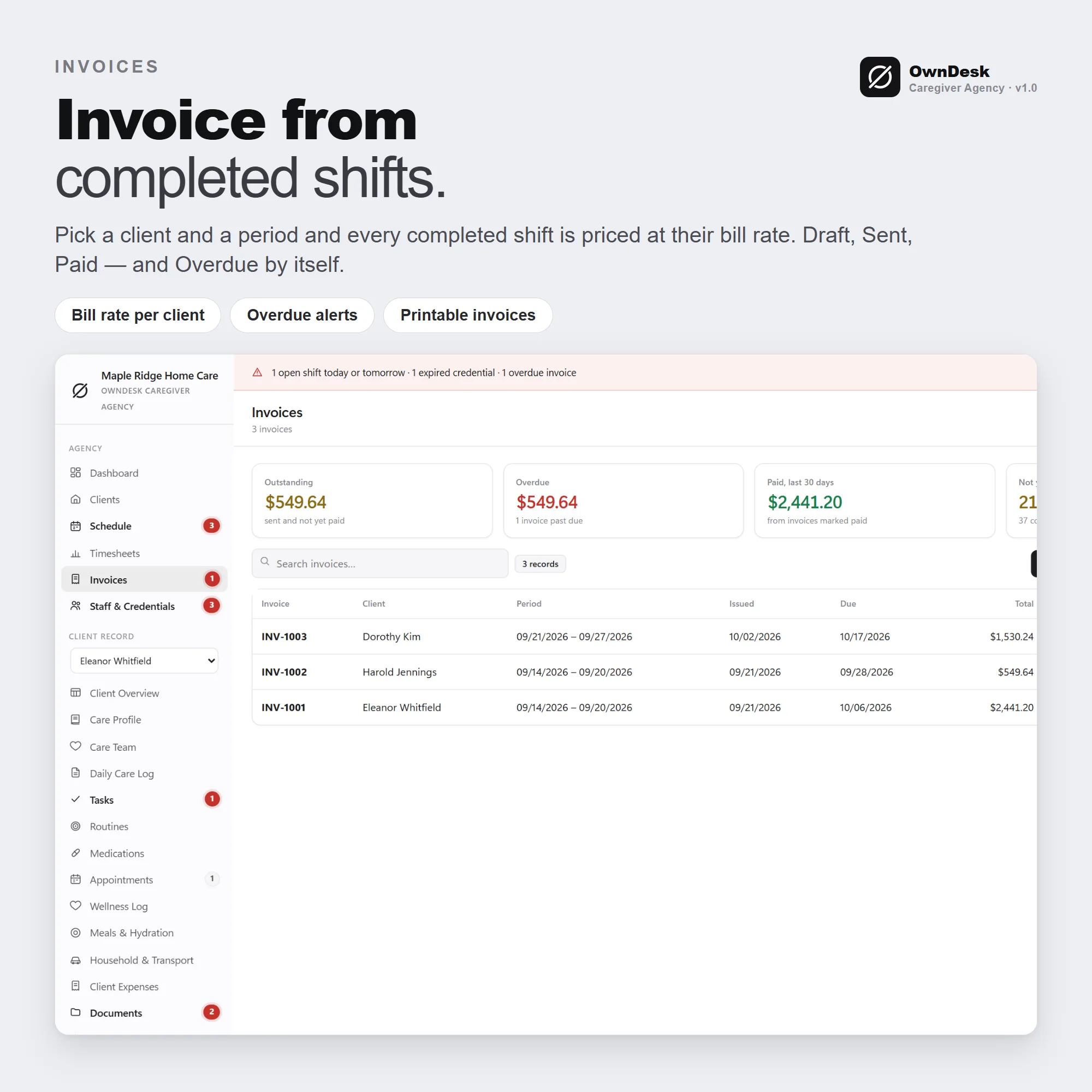 OwnDesk Caregiver Agency - Image 6