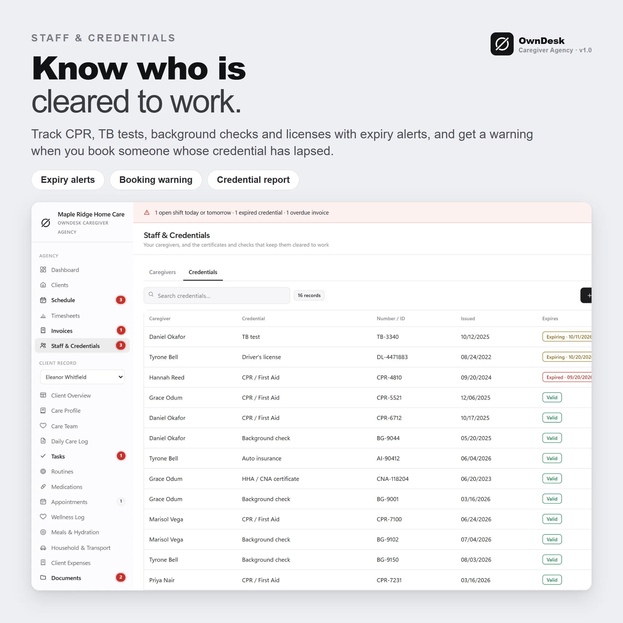 OwnDesk Caregiver Agency - Image 7